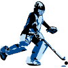 Hockey Goalie