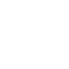 Drone Pilot