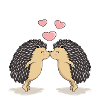 Sweet kissing hedgehogs