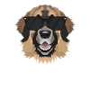 My Leonberger is the coolest