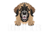 Smiling Leonberger