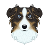 Australian Shepherd Lover I Dog Lover I Australian