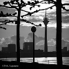 The Rhine in Düsseldorf
