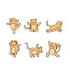 Cat Yoga