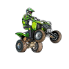 Motorcycle, Quad