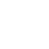 Diver
