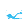 Diver