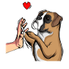 Boxer Dogs Dear Mistress Master