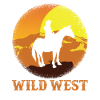 Wild West Cowboy
