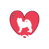 maman samoyède Samojede