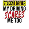 Fahrschüler Fahrschule Führerschein Fahranfänger