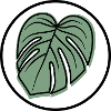 Monstera Patch