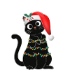 Chat noir de noel