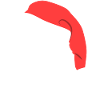 Funny Santa Hat