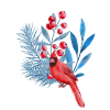 Red Cardinal in Blue Leaves