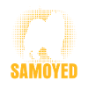Samojede Samoyed dog Samoyede Hund
