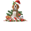Christmas Beagle Dog
