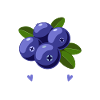 Blueberries Spirit Food