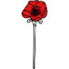 Poppy