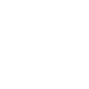 Jaguar Geometric Flowers