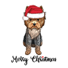 Yorkie Merry Christmas