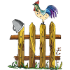 Rooster