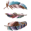 Pen