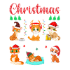 Christmas Routine Katze