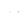 Tigre