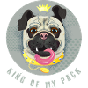 King of my pack- Pug