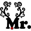 Mr Christmas