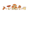 Mushrooms mushroom picker Mushroom grower