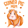 Guinea pig