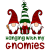 Hangig with my Gnomies