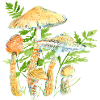 Mushroom in fern
