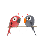 Turteltäubchen