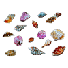 Colourful Seashells Marine Pattern