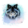 wolf,blue,dog, husky,dog, painting,graffiti