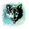wolf,blue,dog, husky,dog, painting,graffiti