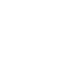 Flowers Mandala Geometric