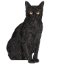 Cats Animal Motif Imprint