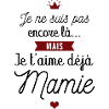 Je t'aime déjà mamie