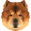 Polyart Chow Chow