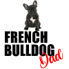 french bulldog dad