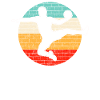 Handball Retro