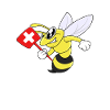 Hornussen und Bier