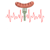 Thüringen Bratwurst Herzschlag Wurst Thüringer