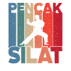 Pencak Silat