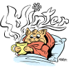 Winter Cat