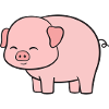 Pig Pigs